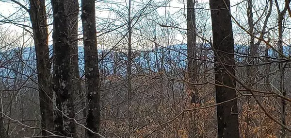 Phillips, ME 04966,TBD Tory Hill RD