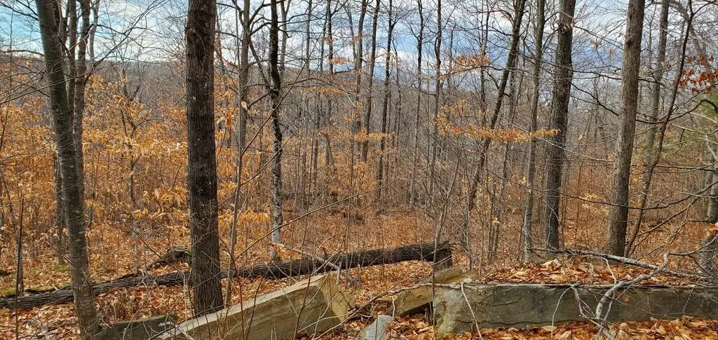 Phillips, ME 04966,TBD Tory Hill RD