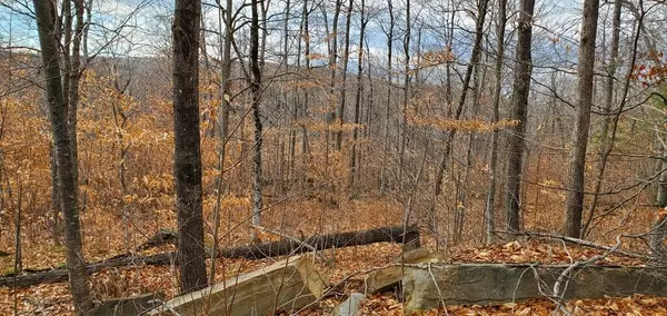 TBD Tory Hill RD, Phillips, ME 04966