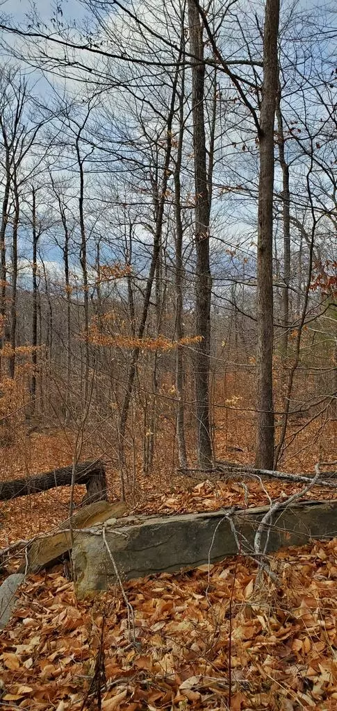 Phillips, ME 04966,TBD Tory Hill RD