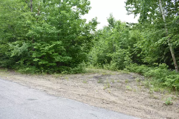 Lot 1 Cushman Road, Woodstock, ME 04219