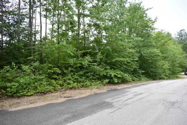 Woodstock, ME 04219,Lot 1 Cushman Road