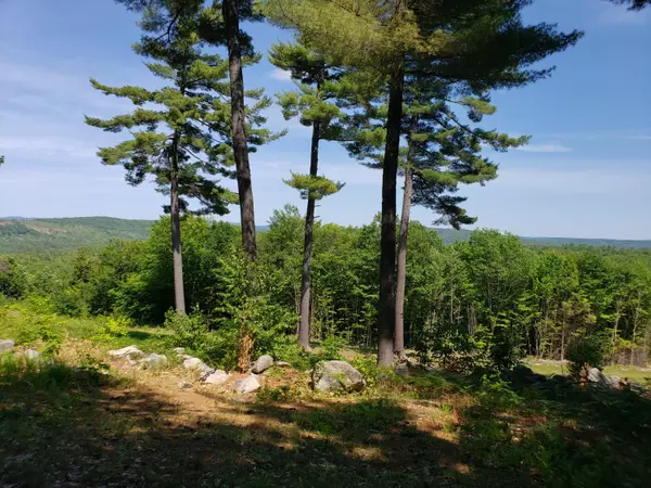 Waterford, ME 04088,Lot 15 McDaniels RD