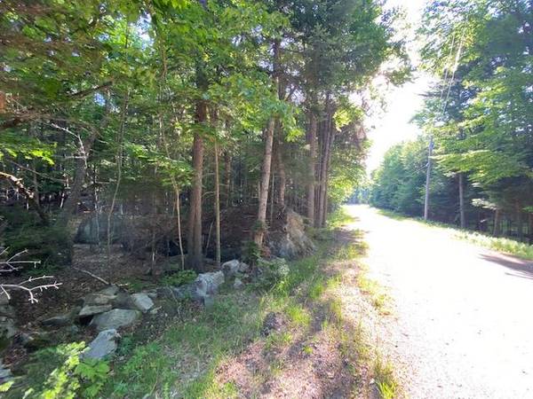 243 Forest Depths RD, Beaver Cove, ME 04441