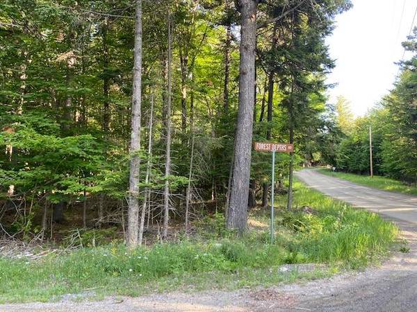 241 Forest Depths RD, Beaver Cove, ME 04441