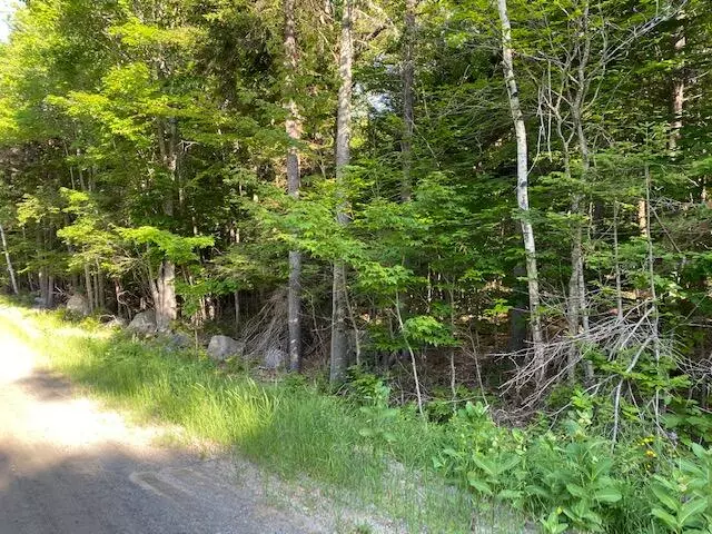 Beaver Cove, ME 04441,249 Forest Depths RD