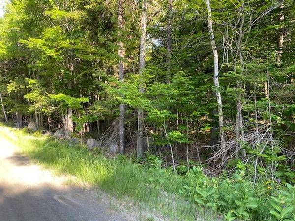 249 Forest Depths RD, Beaver Cove, ME 04441