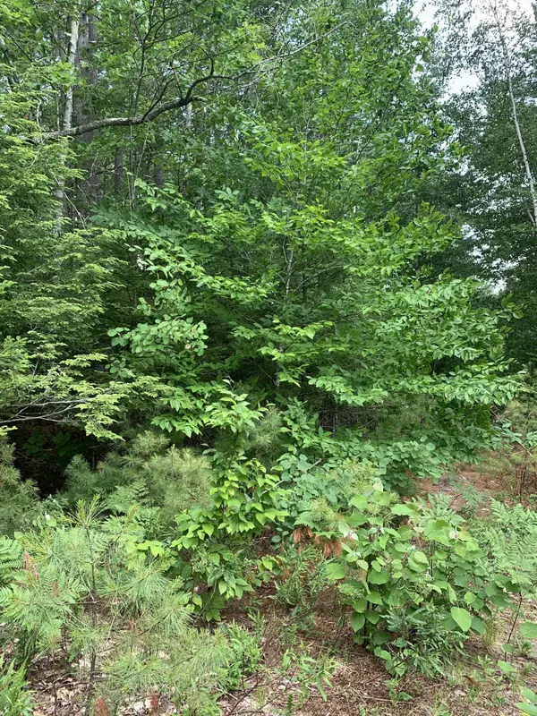 Bridgton, ME 04009,Lot 26 Mockingbird LN