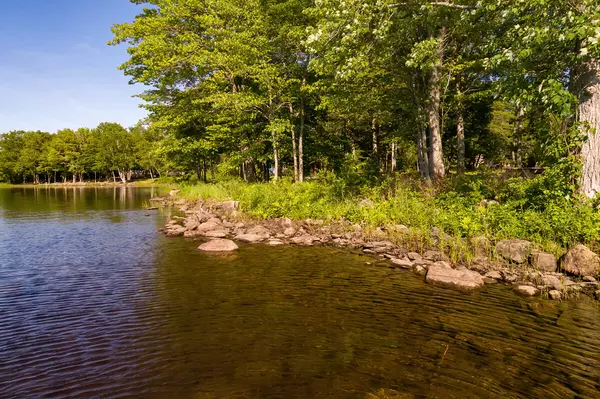 Princeton, ME 04668,49 Lakeside PL