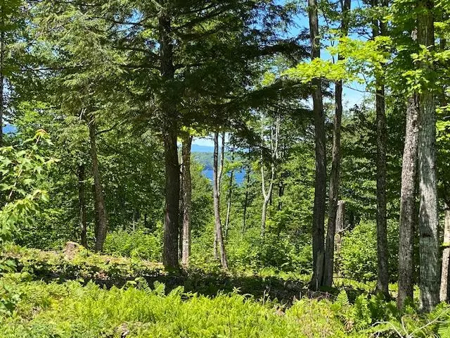 Greenville, ME 04441,41 Bay View DR