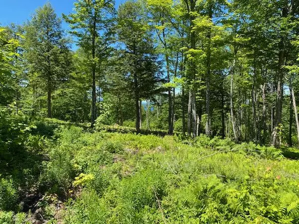 Greenville, ME 04441,41 Bay View DR