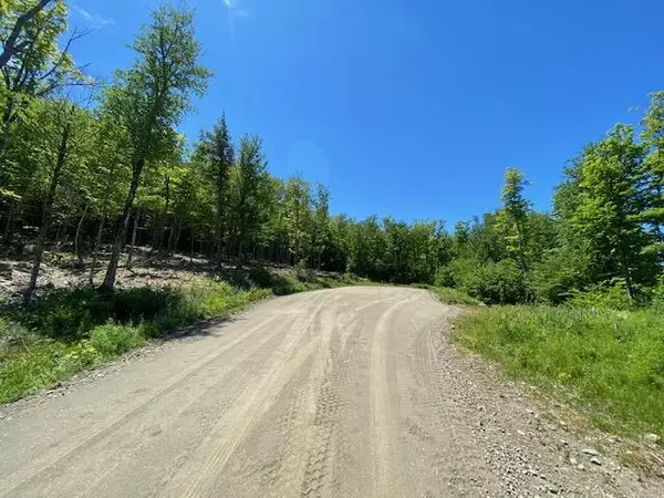 Greenville, ME 04441,48 Bay View DR