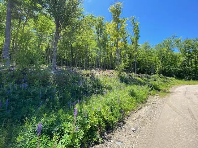 Greenville, ME 04441,46 Bay View DR