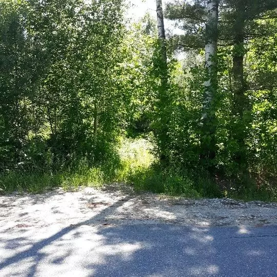 Rumford, ME 04276,Lot #10 Glover RD