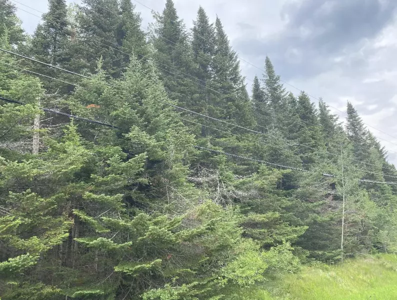 3648 Aroostook RD, Eagle Lake, ME 04739