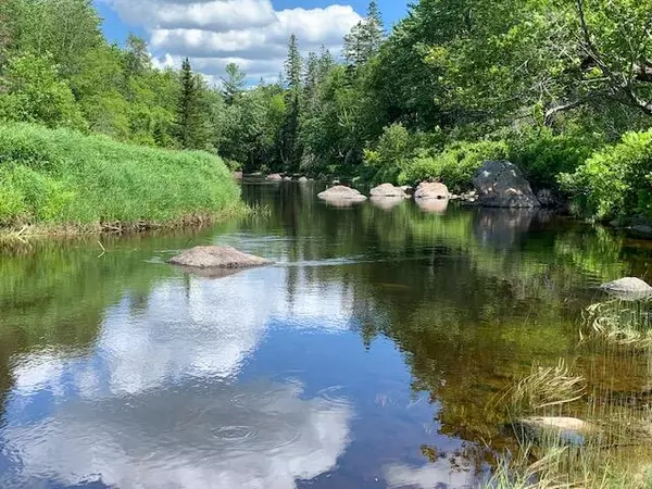 19 Foxtail RD, Cherryfield, ME 04622