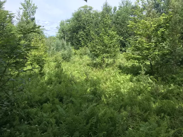 New Portland, ME 04954,TBD Long Falls Dam RD