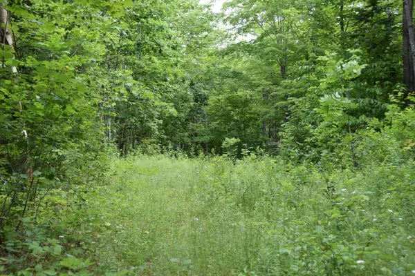 Concord Twp, ME 04920,P/O MSo081 L2-18 Jackson Pond RD