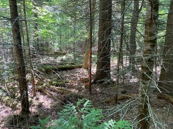 Greenville, ME 04441,43 19-H Muzzy Camp RD