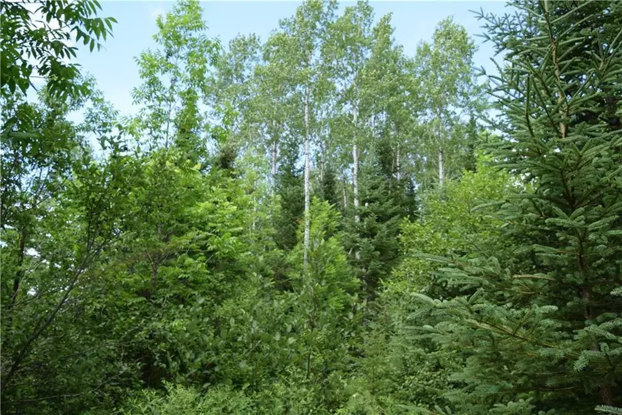 00 Off Jemptland RD, Connor Twp, ME 04762