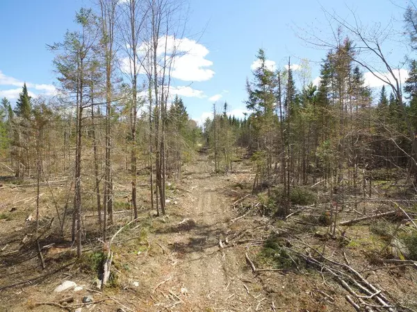 Springfield, ME 04487,0 Off Old Winn RD