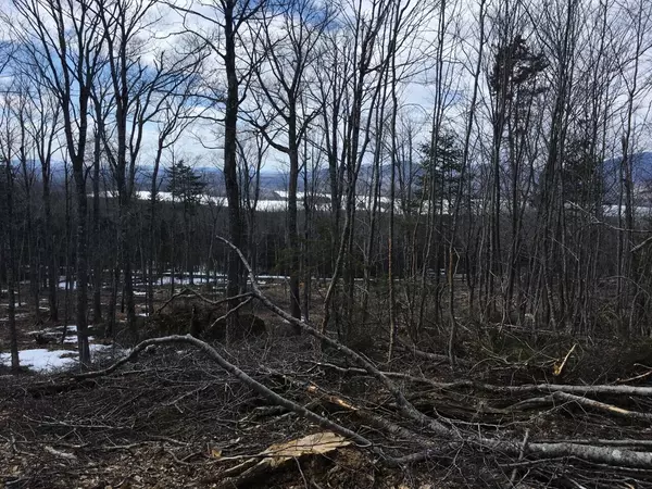 Greenville, ME 04441,Lot 11B Blair Hill RD