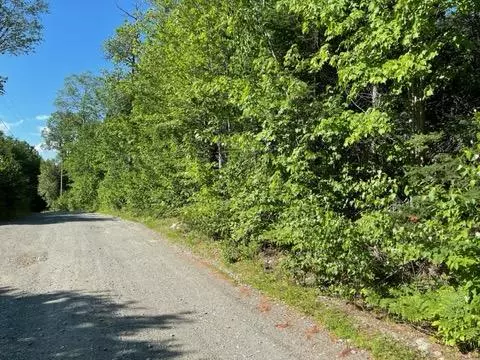 Bradford, ME 04410,Lot 14-1 Jones Road