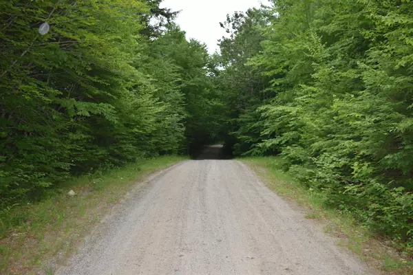 Lakeville, ME 04487,Map 3 Lot 6-2 Lombard Lake RD