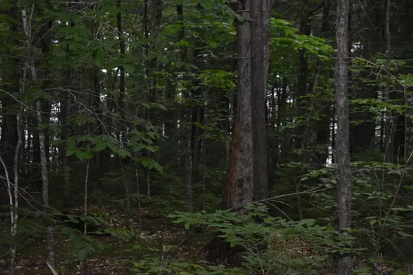 Lakeville, ME 04487,Map 3 Lot 6-2 Lombard Lake RD