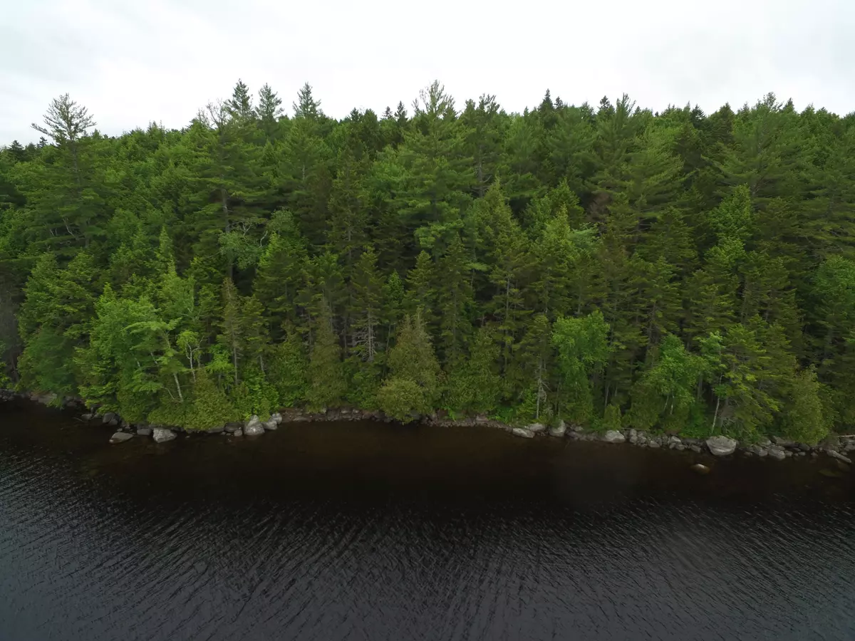 Lakeville, ME 04487,Map 3 Lot 6-2 Lombard Lake RD