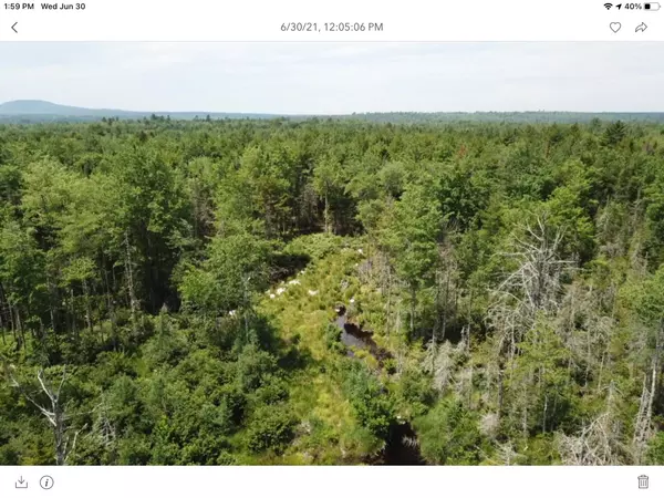 Surry, ME 04684,Lot 7 Granite Rock Circle North