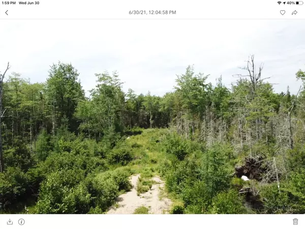 Surry, ME 04684,Lot 7 Granite Rock Circle North