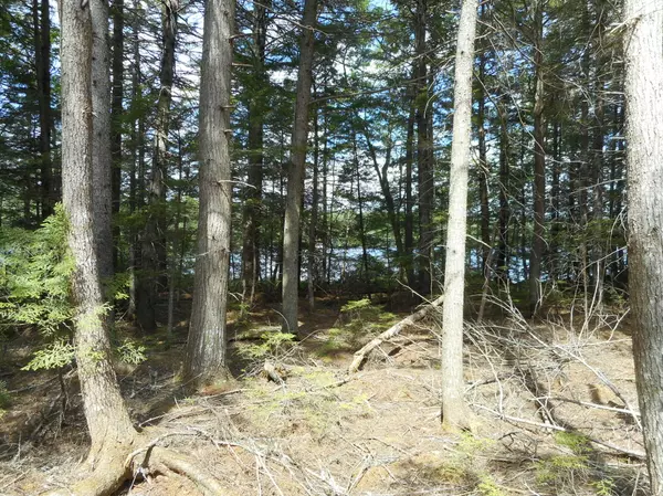 Lincoln, ME 04457,LOT 3 Trails End