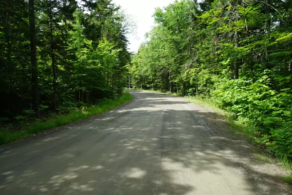 Greenville, ME 04441,1 Rum Ridge Road RD