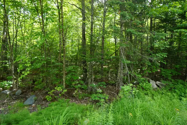 Greenville, ME 04441,1 Rum Ridge Road RD