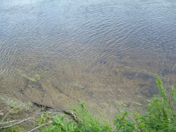 Mattamiscontis Twp, ME 04457,tbd Mattamiscontis Road