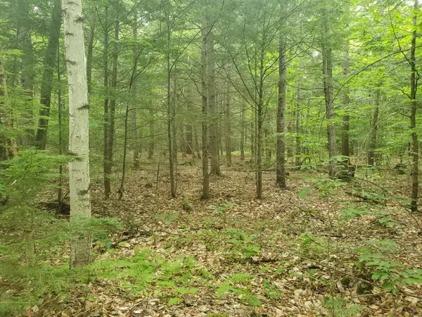 lot 37 Lilly DR, Newport, ME 04953