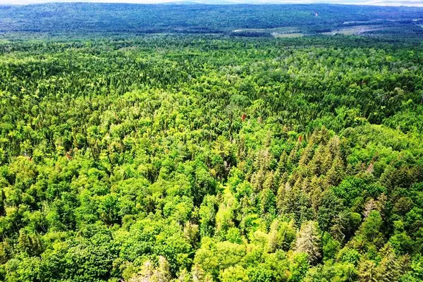 Shirley, ME 04485,Lot 6 Greenville RD