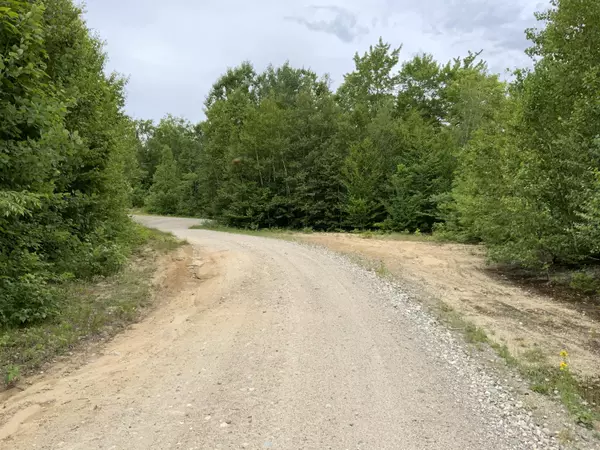 Rumford, ME 04276,0 Blackberry lane