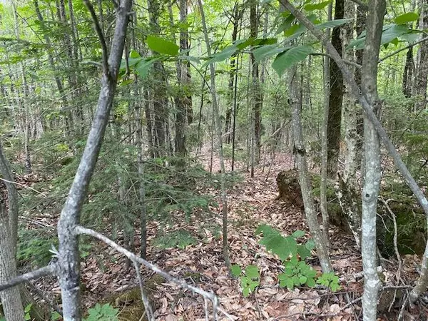 Greenville, ME 04441,2 East RD