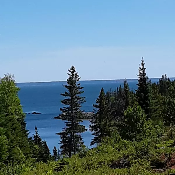 Trescott Twp, ME 04652,69 Havenhurst RD