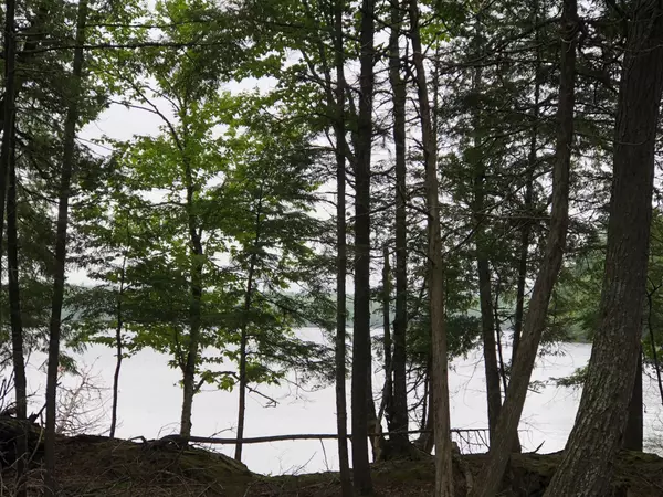 Princeton, ME 04668,Lot 2 Greenland Point RD