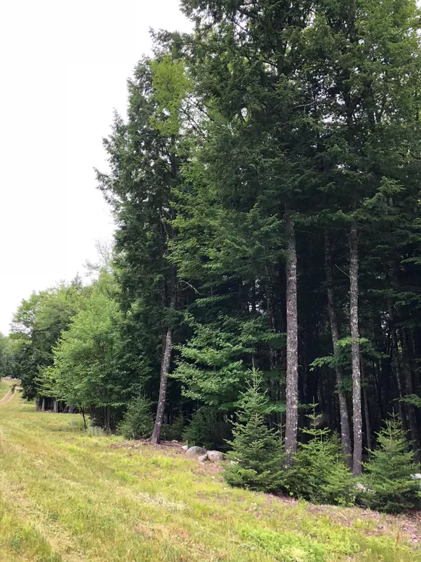 Princeton, ME 04668,Lot 2 Greenland Point RD