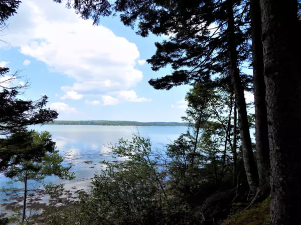 Roque Bluffs, ME 04654,Lot 150 Duck Cove RD