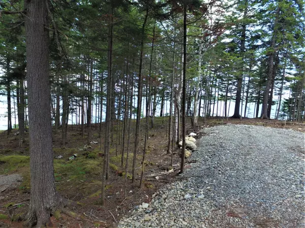 Lot 150 Duck Cove RD, Roque Bluffs, ME 04654