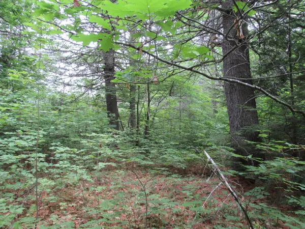 Norridgewock, ME 04957,M6L54 Bombazee RD