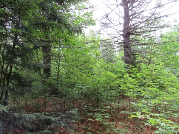 Norridgewock, ME 04957,M6L54 Bombazee RD