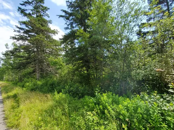 Trescott Twp, ME 04652,89 Timber Cove RD