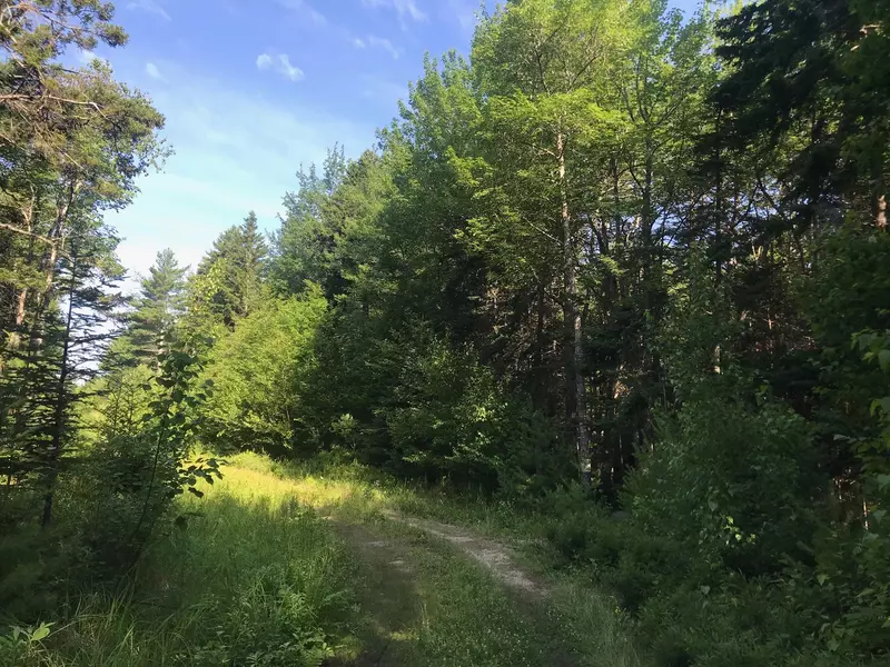 00 Hales Woods RD, Brooklin, ME 04616