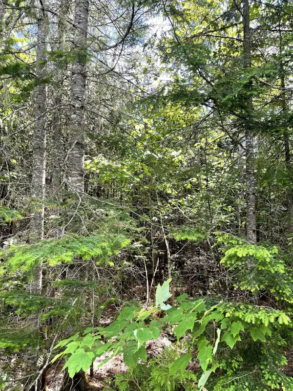 Greenville, ME 04441,TBD Scammon RD